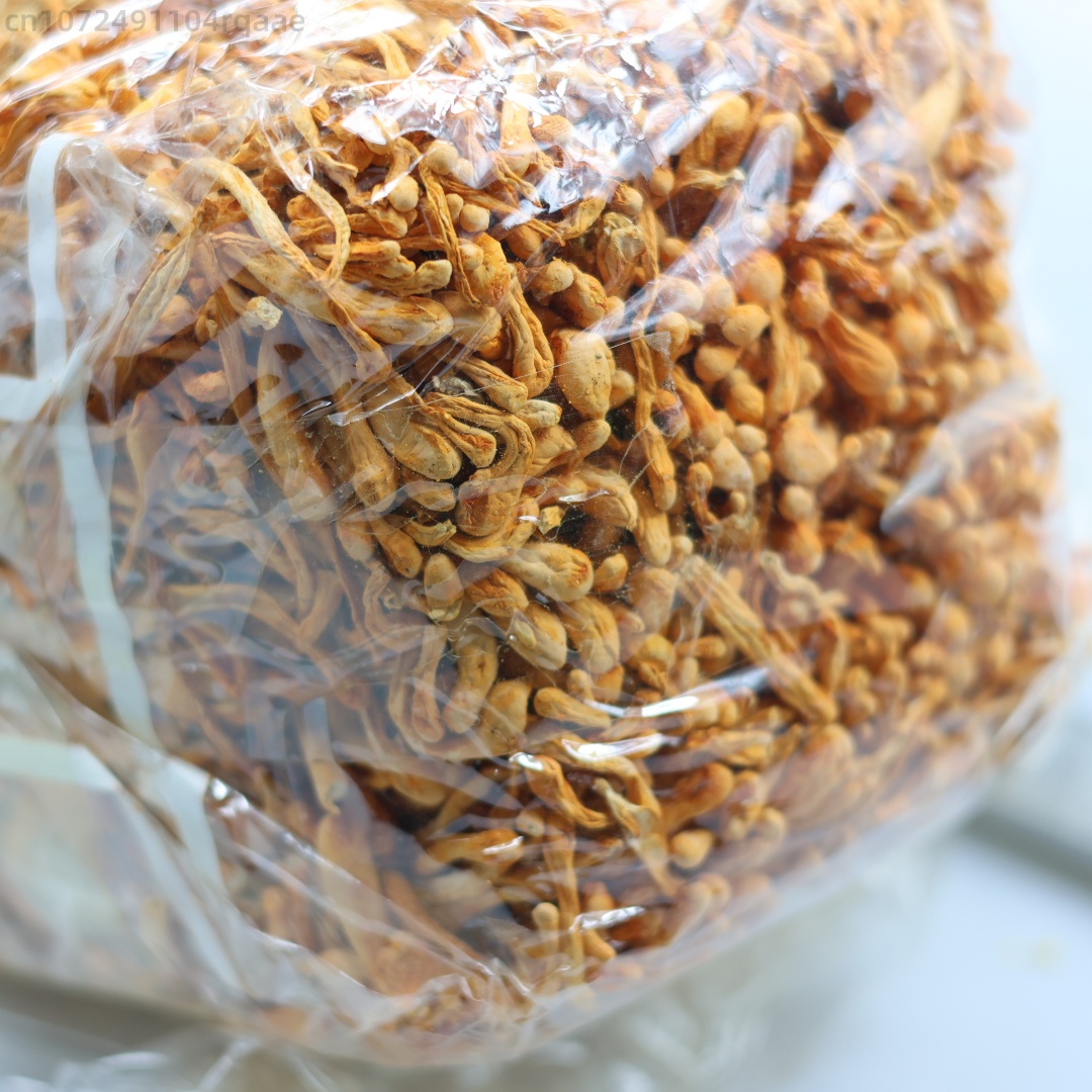 250g/500g Premium Natural Drie - Soap Making Diy Kit 评论和价格